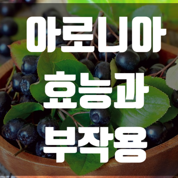  아로니아 효능과 부작용을 알아보자