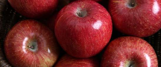 콜레스테롤 낮추는 음식 - 사과