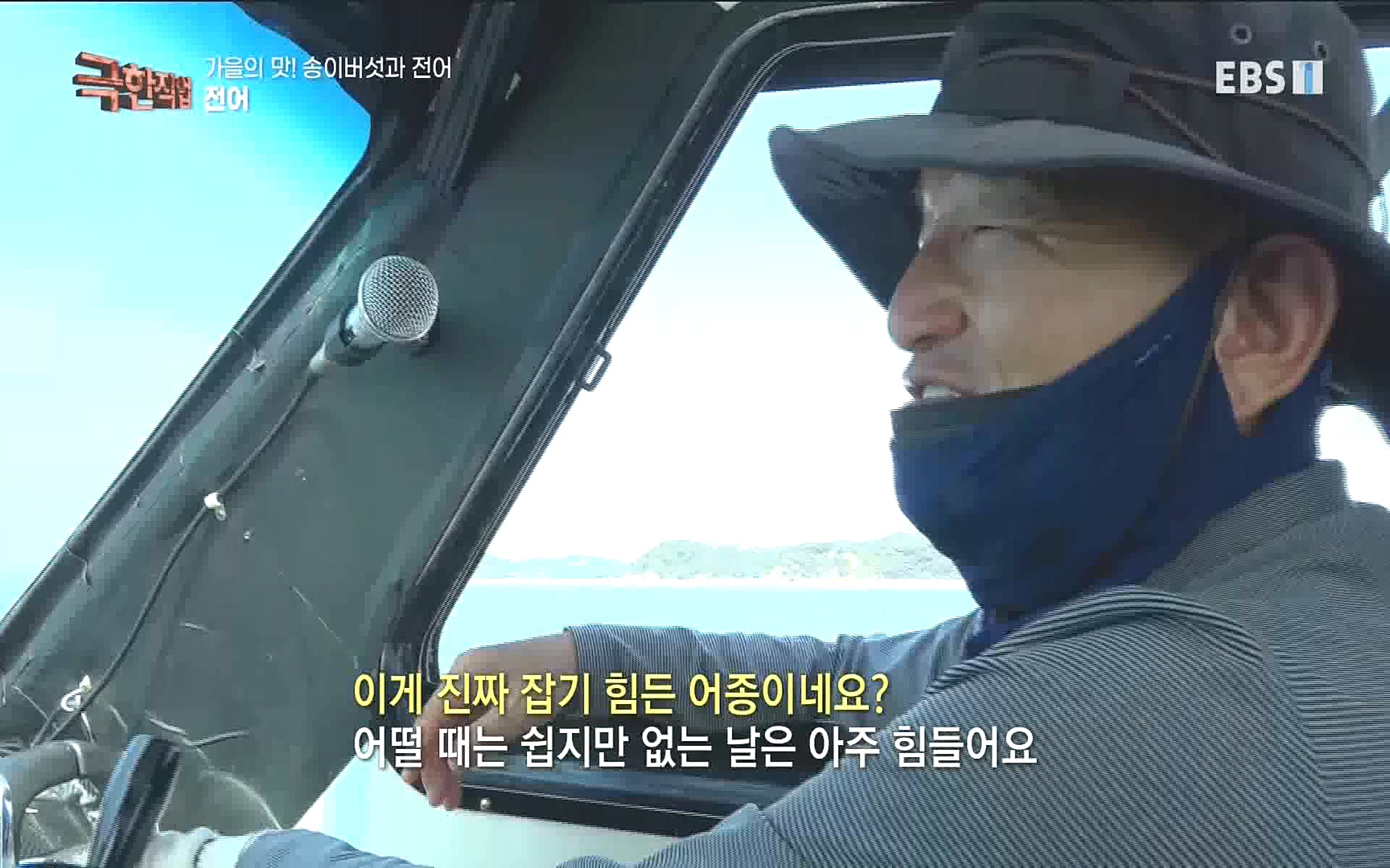 송이버섯과 전어 221008.mp4_20221012_213449.015.jpg