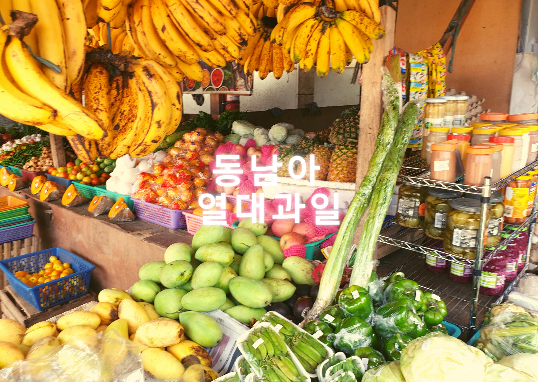  동남아 열대과일 소개 3탄 [산톨Santol/노란수박/람부탄/용안]