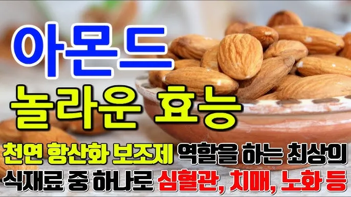 아몬드 효능 하루 섭취량 칼로리_4
