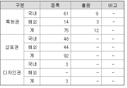 코오롱머티리얼 국내외 특허 및 지적 재산권 보유 현황