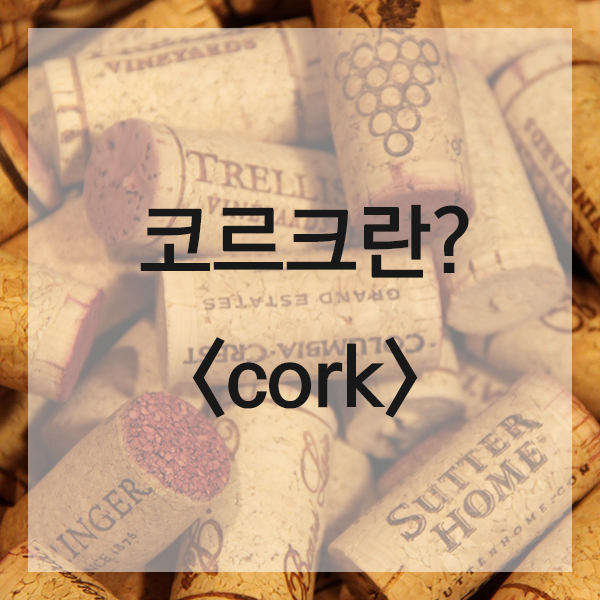 왜 와인만 코르크 마개를 사용하는 걸까?