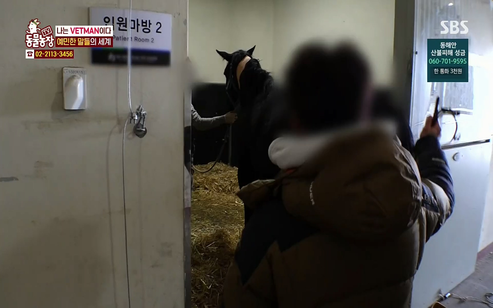 TV 동물농장.E1062.220327p.H264-F1RST.mp4_20220327_174500.499.jpg