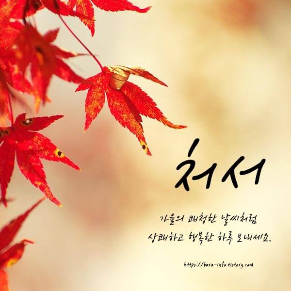 처서 이미지