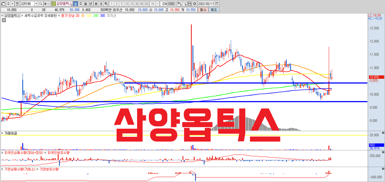  삼양옵틱스 주가 전망 | 저평가 주식 | 실적주 | 카메라 렌즈 관련주식