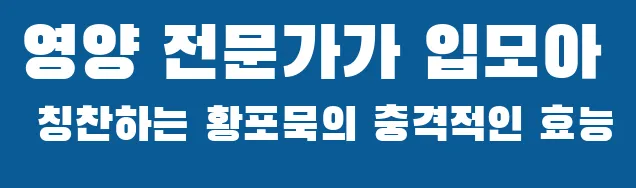 영양 전문가가 입모아 칭찬하는 황포묵의 충격적인 효능