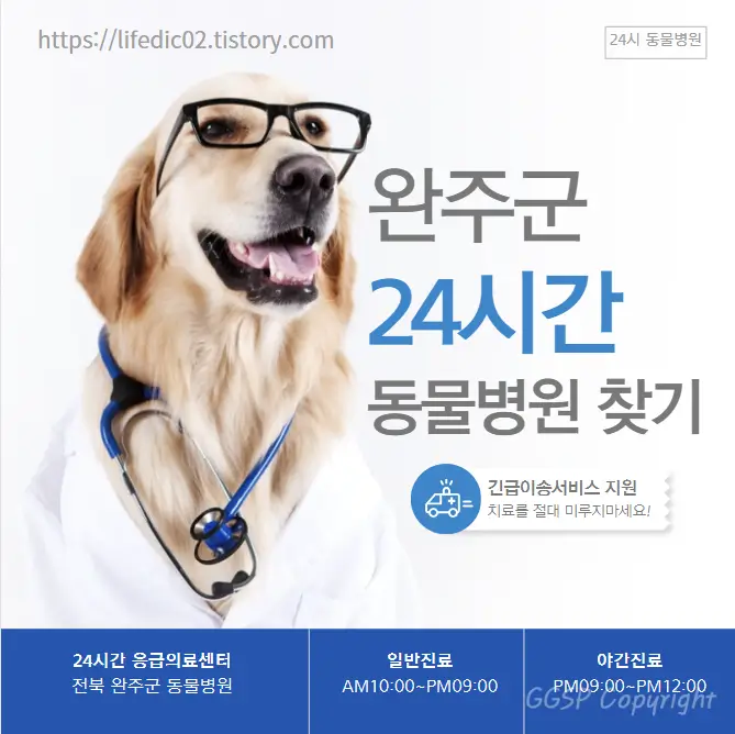  완주군 24시간 동물병원 찾기 근처 야간 일요일 고양이 병원 15곳