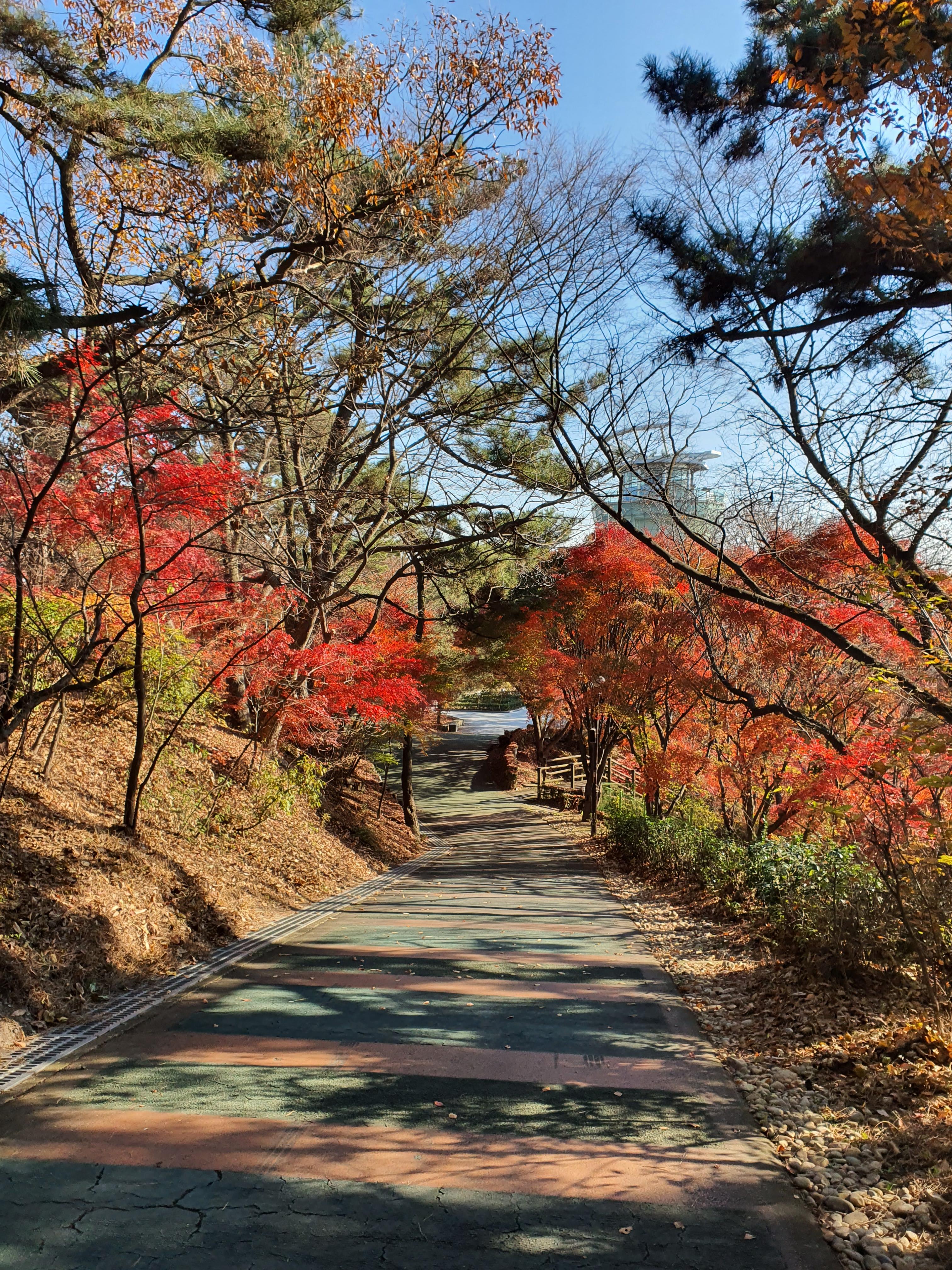 인천 산책하기 좋은 월미공원 물범카 이용 안내