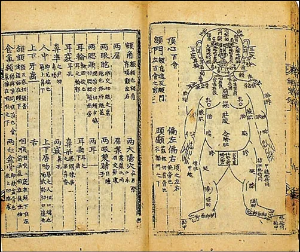 조선시대 법곤충학 수사