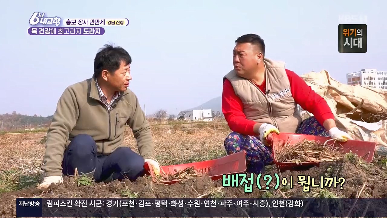 6시 내고향.E7922.231129p.H264-F1RST.mp4_20231129_200946.207.jpg