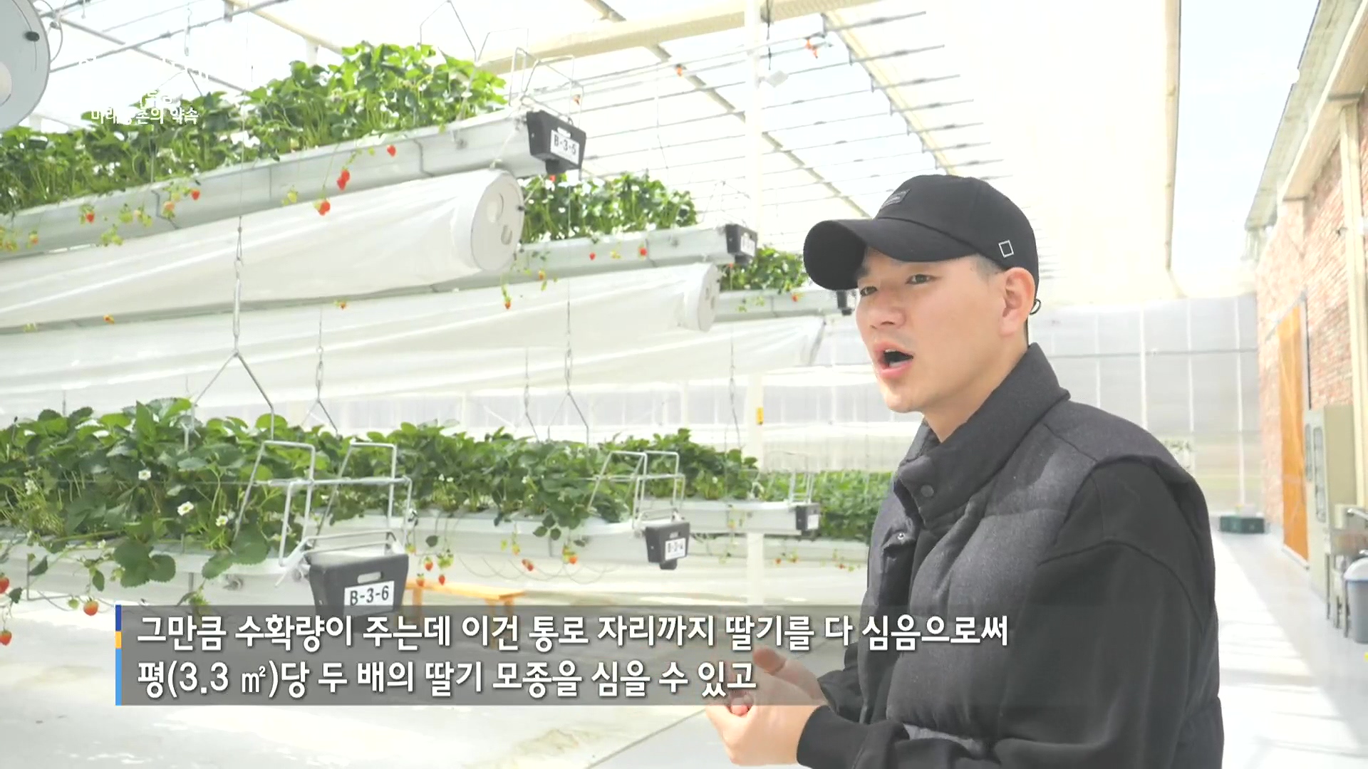 일요 특선 다큐멘터리.E348.240804p.H264-F1RST.mp4_20240805_195555.182.jpg