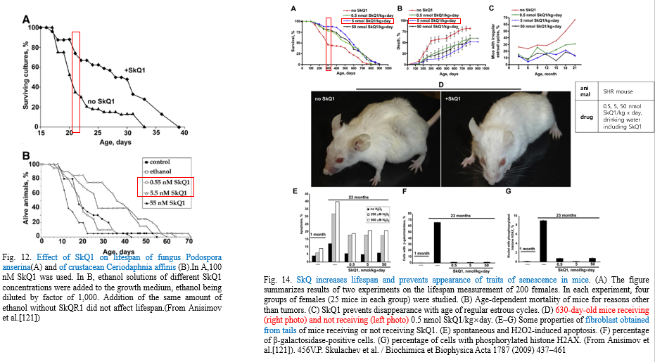 4) SkQ1 prolongs lifespan and retards senescence