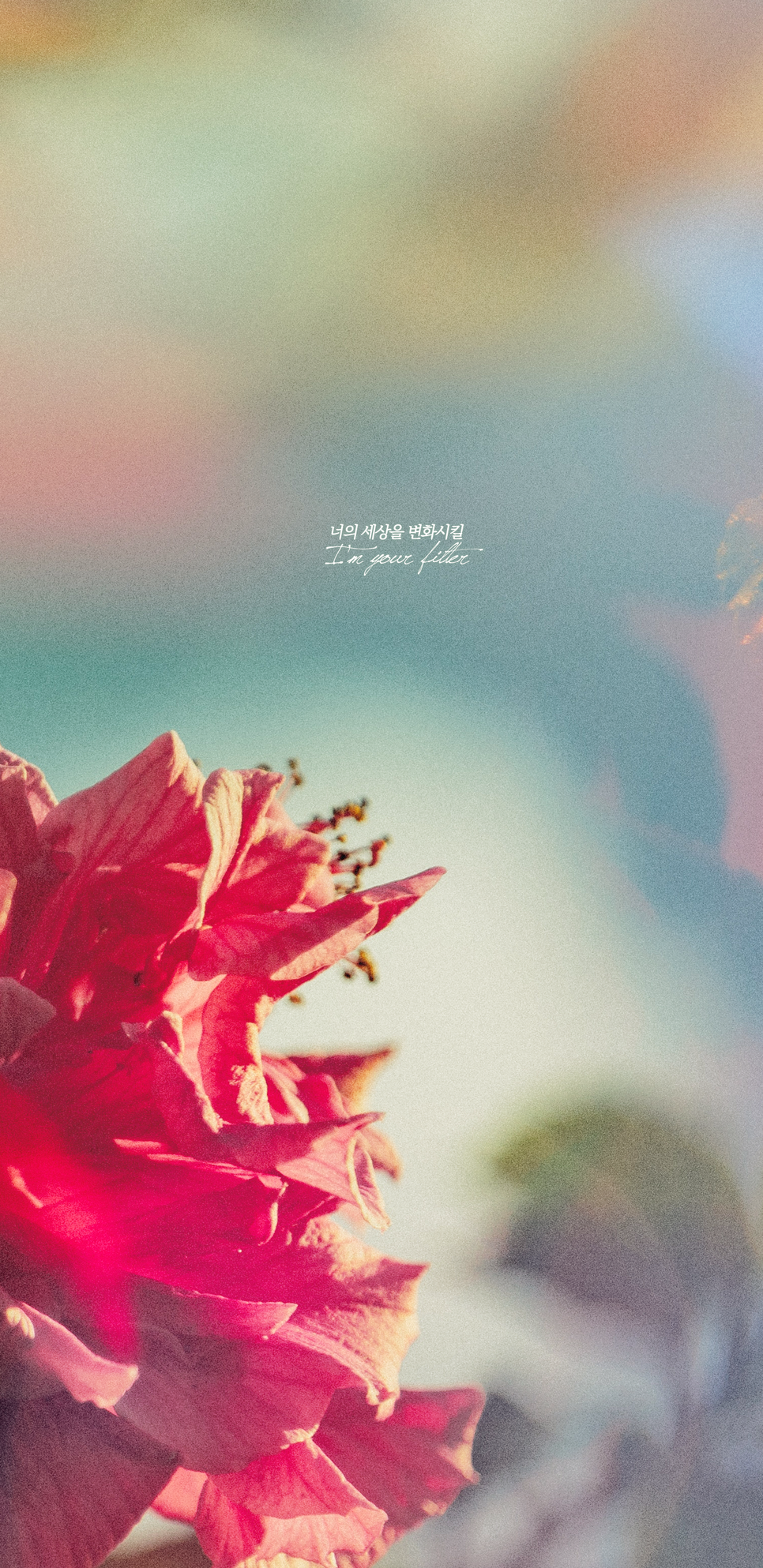  지민 'Filter' 노래가사 배경화면