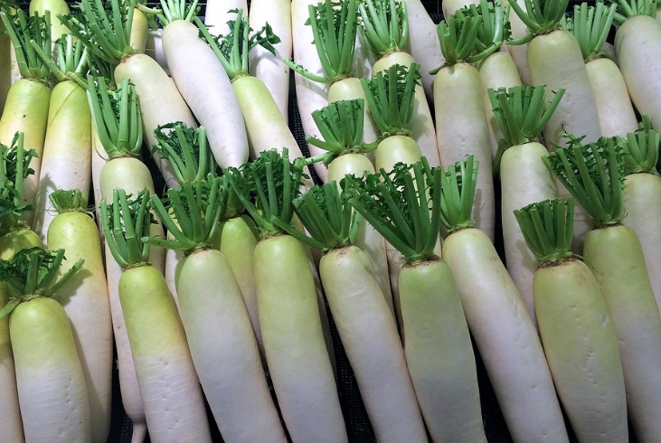  맛있는 무 고르는법 / 좋은 무 궁합 / 무 효능 알아보기