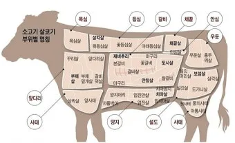 소고기 부위 가장 부드러운 순서대로 10선_3