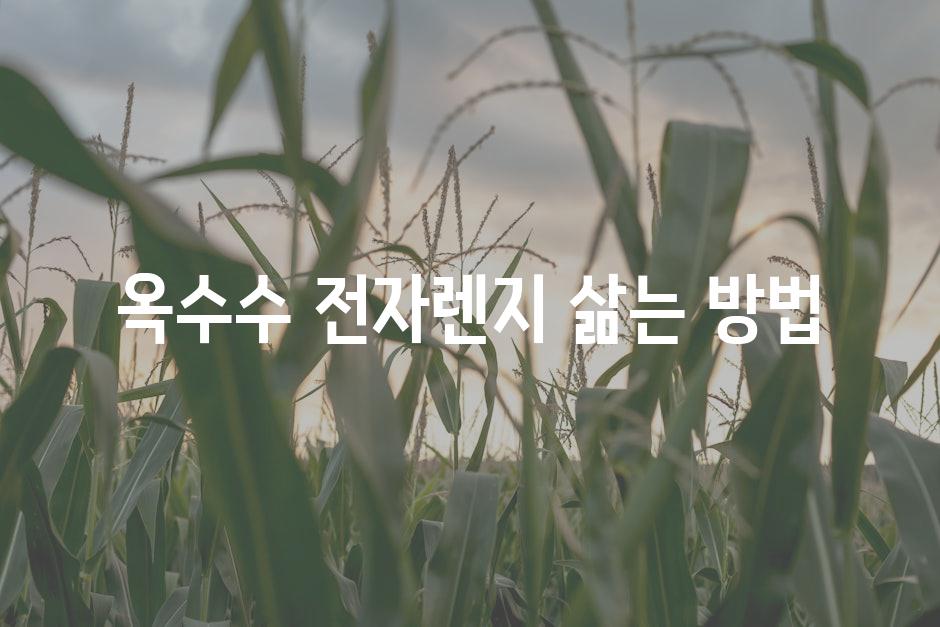 corn 3