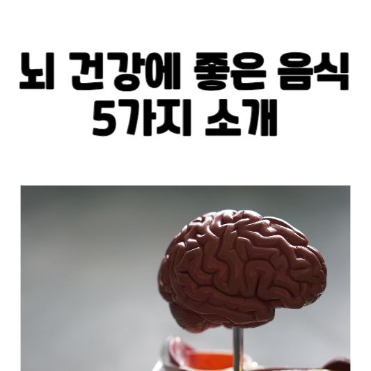 뇌 건강에 좋은 음식