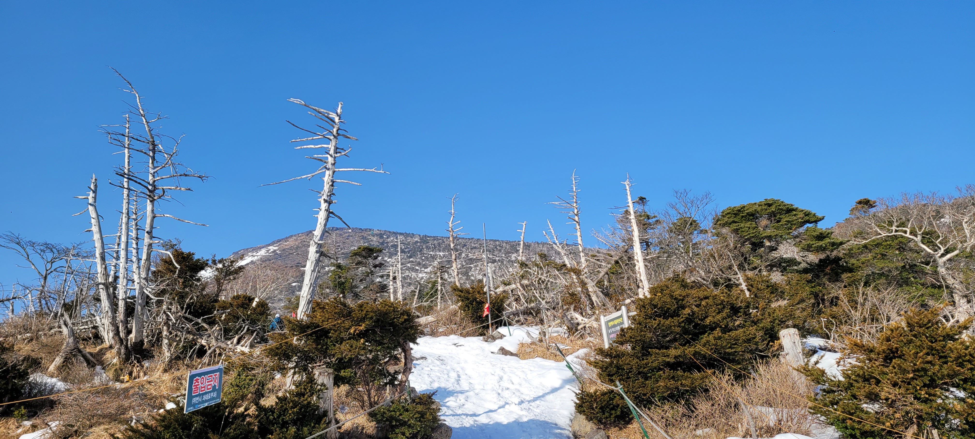 한라산정상부근