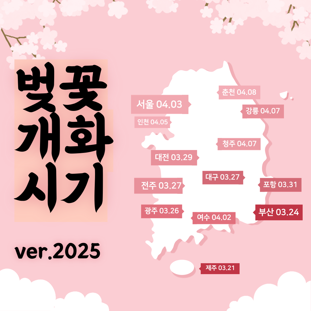 벚꽃개화시기
