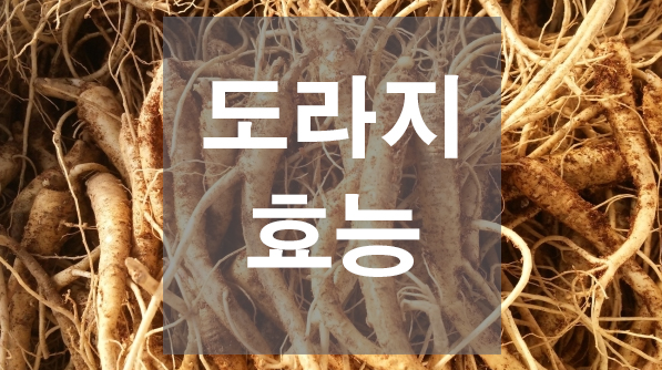  도라지 효능