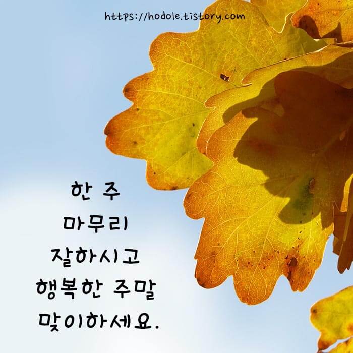 안부 인사글