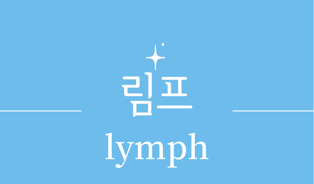 '림프(lymph)'