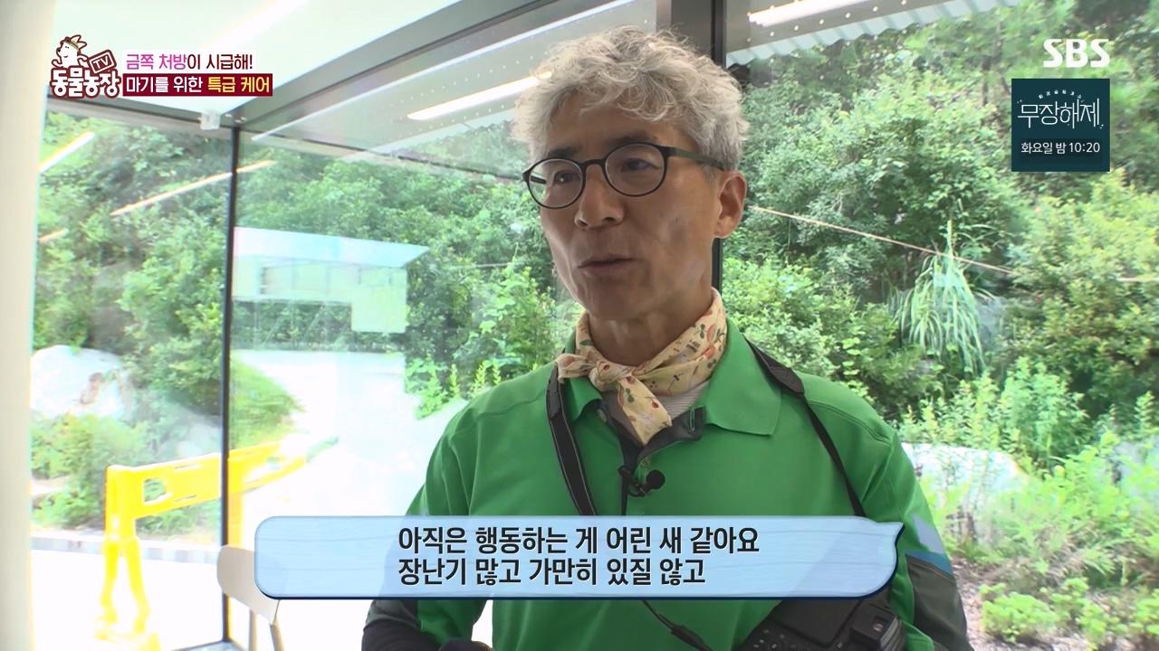 TV 동물농장.E1135.230828p-NEXT.mp4_20230827_180823.070.jpg