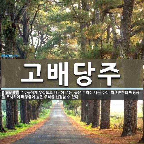  KT&G -이상하게 이해 안되는 주식