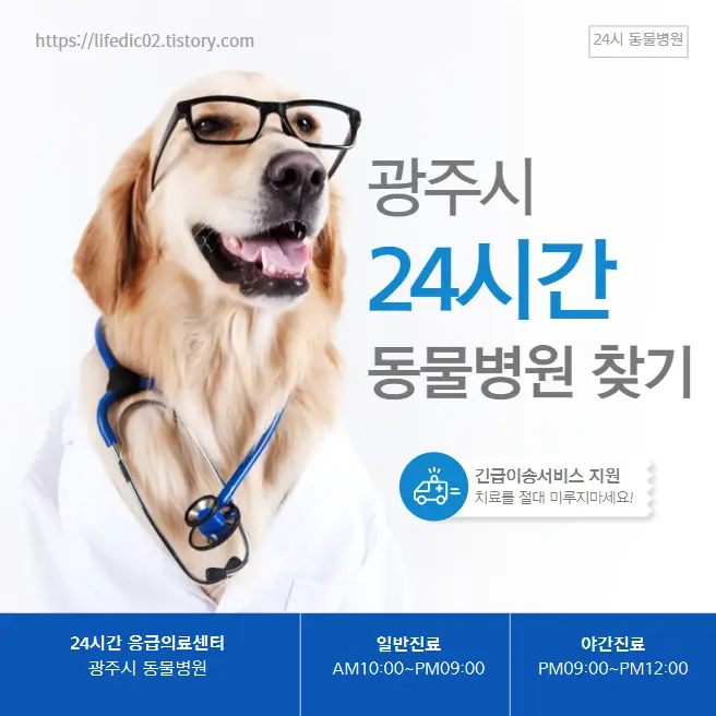  광주시 24시간 동물병원 근처 야간 일요일 강아지 병원 34곳
