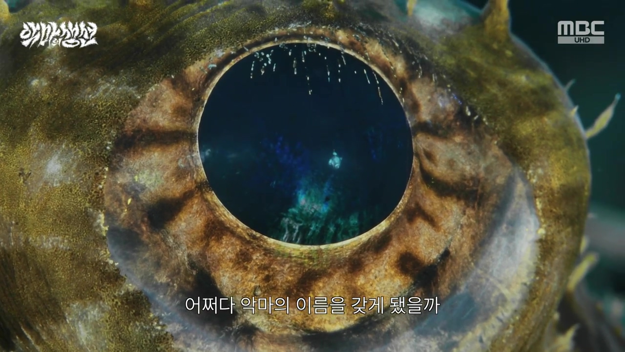 MBC 네트워크특선.E1670.240403p-NEXT.mp4_20240403_203723.729.jpg