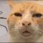 HUH twitch 7tv emoji