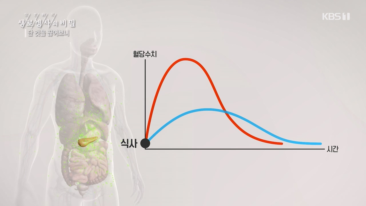 생로병사의 비밀.E877.230727p-NEXT.mp4_20230727_222746.370.jpg