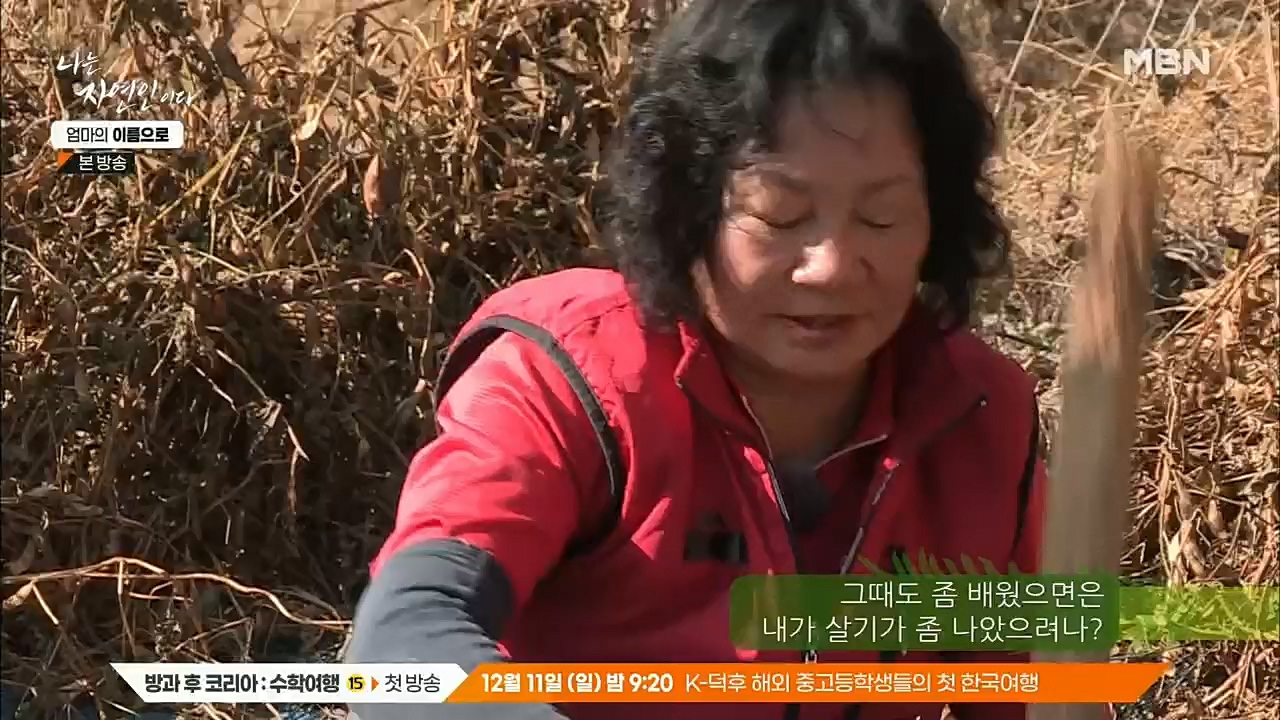 나는 자연인이다.E531.221208p.H264-F1RST.mp4_20221208_204246.854.jpg