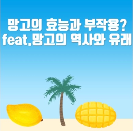  열대과일시리즈2.망고의 효능 부작용?