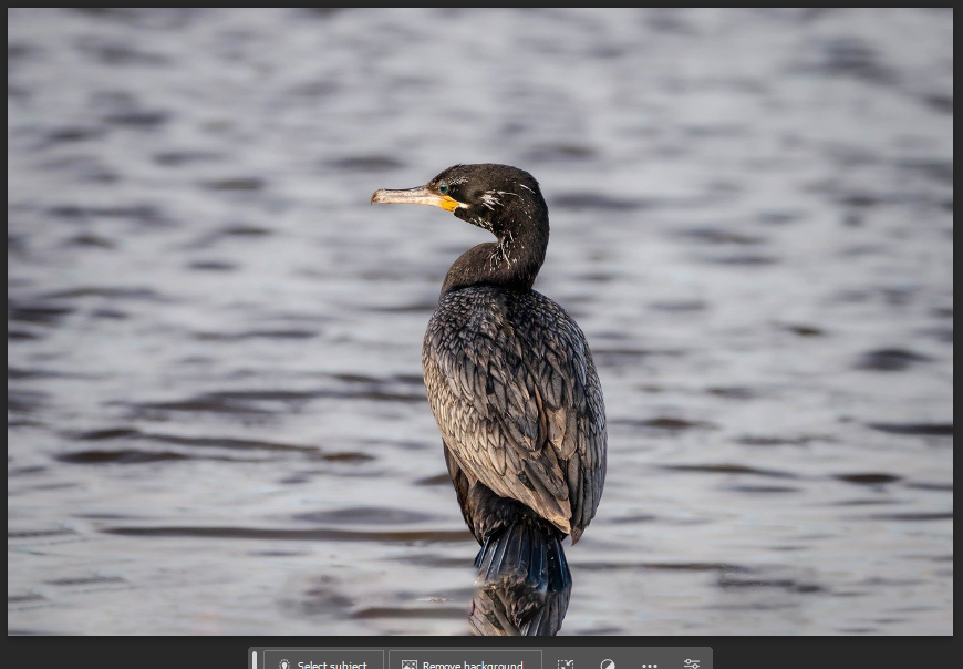 바닥이 사라지고 물로 대체