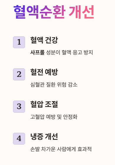 혈액순환 개선