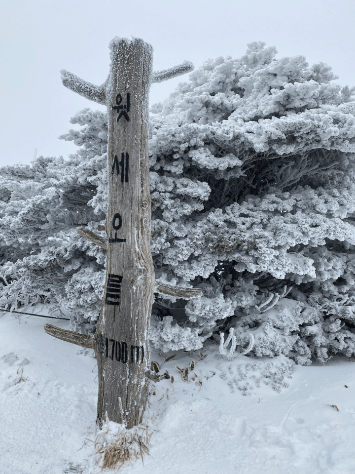 겨울한라산-영실코스-윗세오름-정상