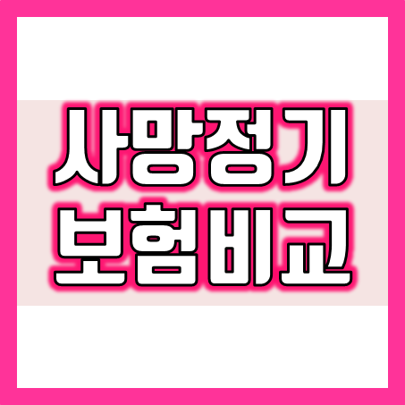  사망정기보험 비교 시 주의할 점! 이것만 알면 끝!