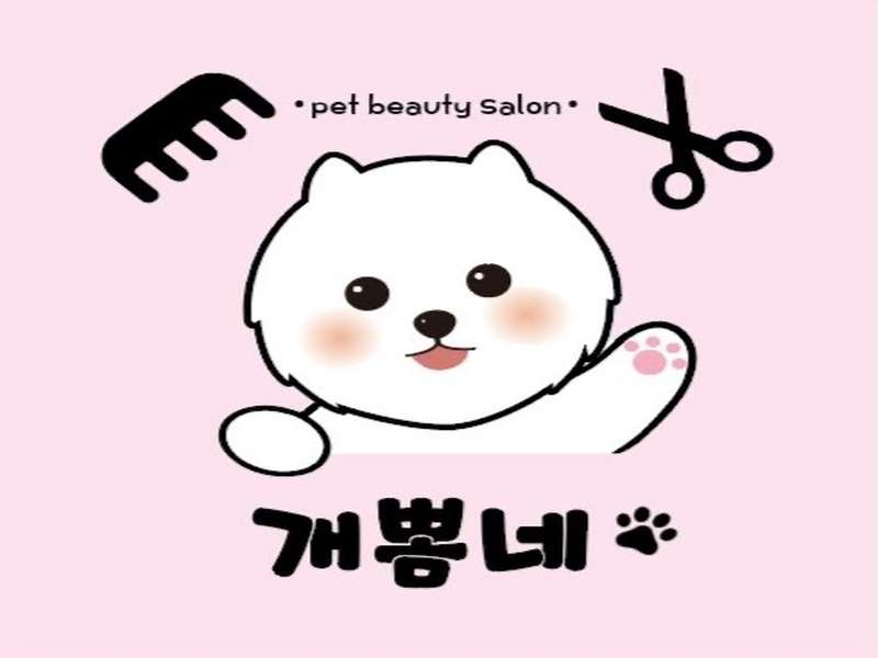 경기도 광명시 애견미용 잘하는 곳 BEST4 | 비교 | 추천 | 후기 | 할인 정보 | 예약 안내 | 총정리 - 4. 개뽐네 소개 - 4.1 개뽐네의 특징 4.1 개뽐네의 특징