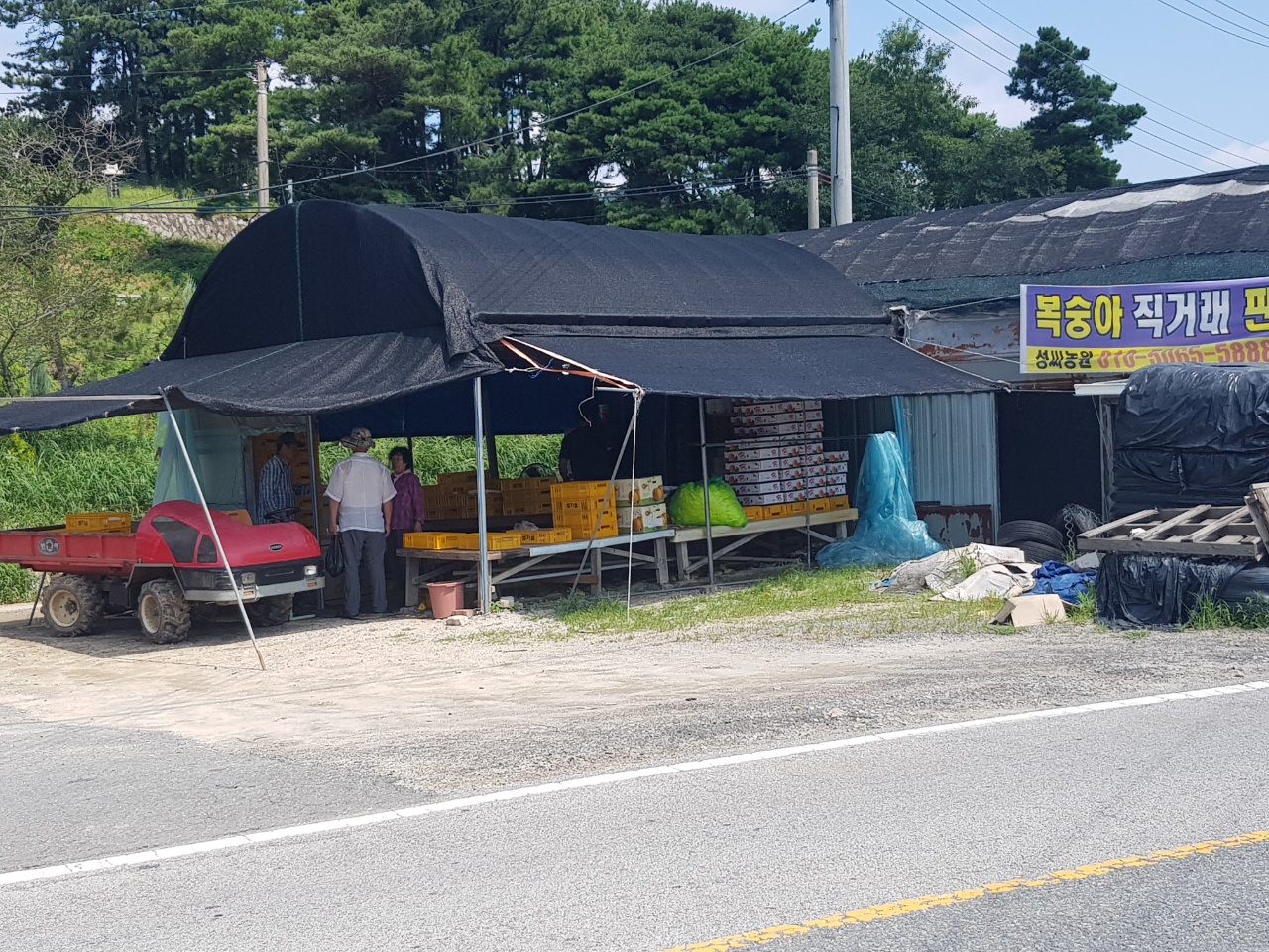 성씨네농장 이미지