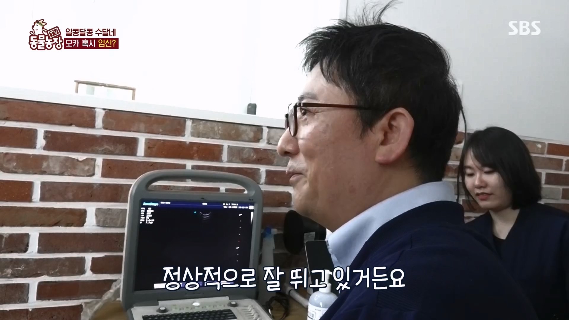 TV 동물농장.E1118.230423p.H264-F1RST.mp4_20230423_181123.774.jpg