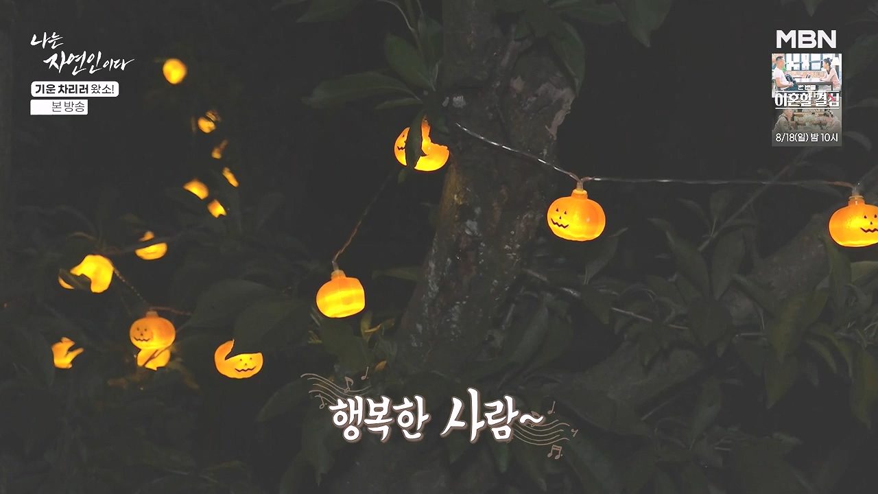 나는 자연인이다.E617.240808p-NEXT.mp4_20240808_195052.925.jpg