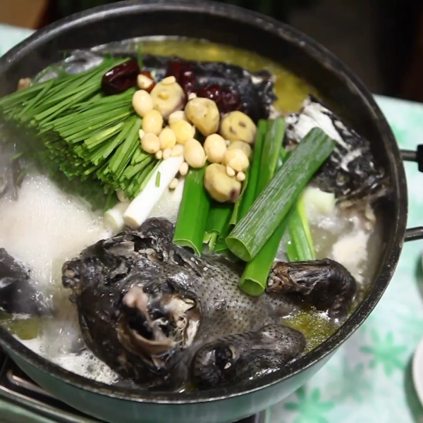  동대문 맛집 가물치오골계탕 동강용봉탕 생생정보