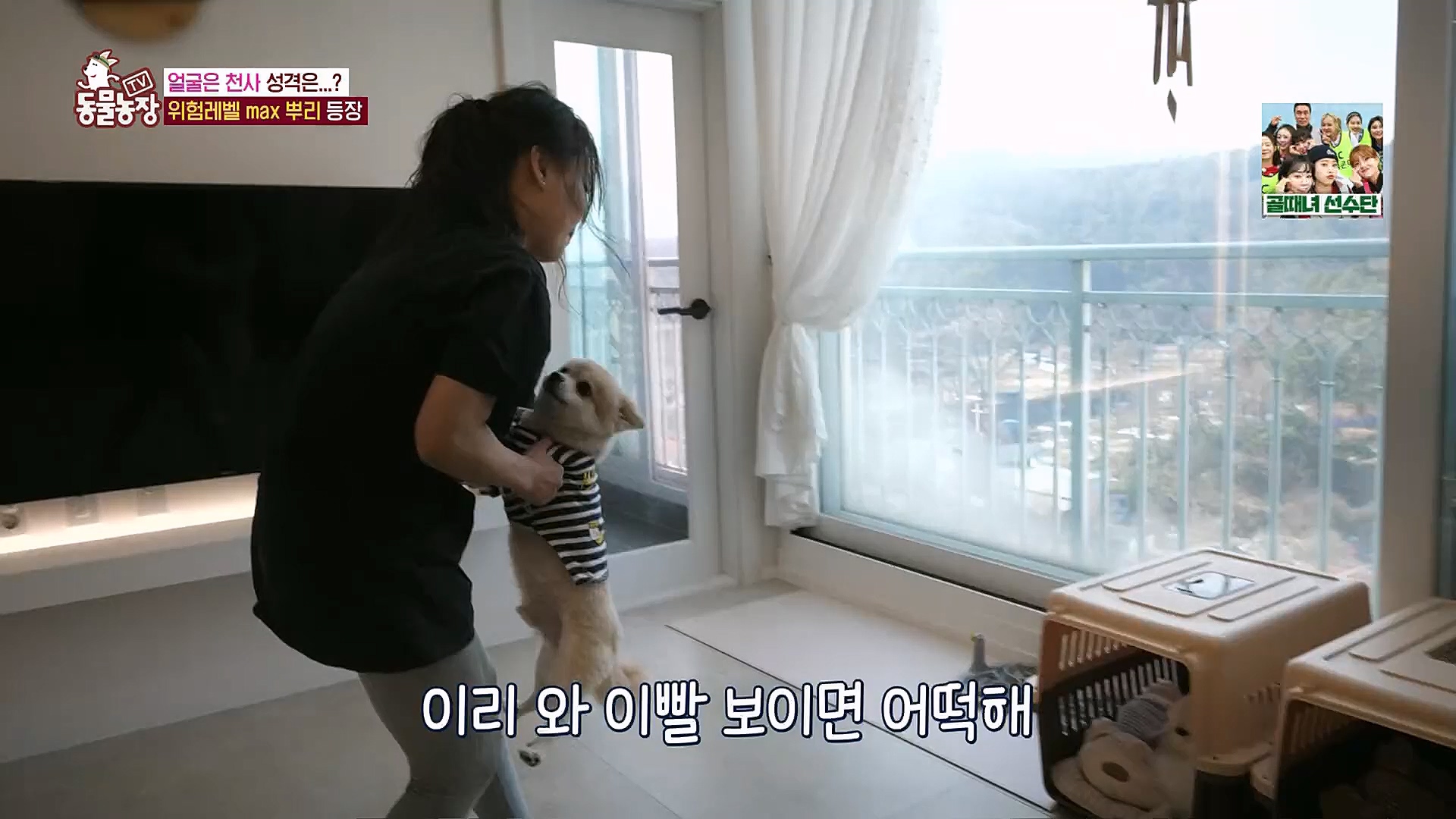 TV 동물농장.E1104.230115p.H264-F1RST.mp4_20230115_173157.835.jpg