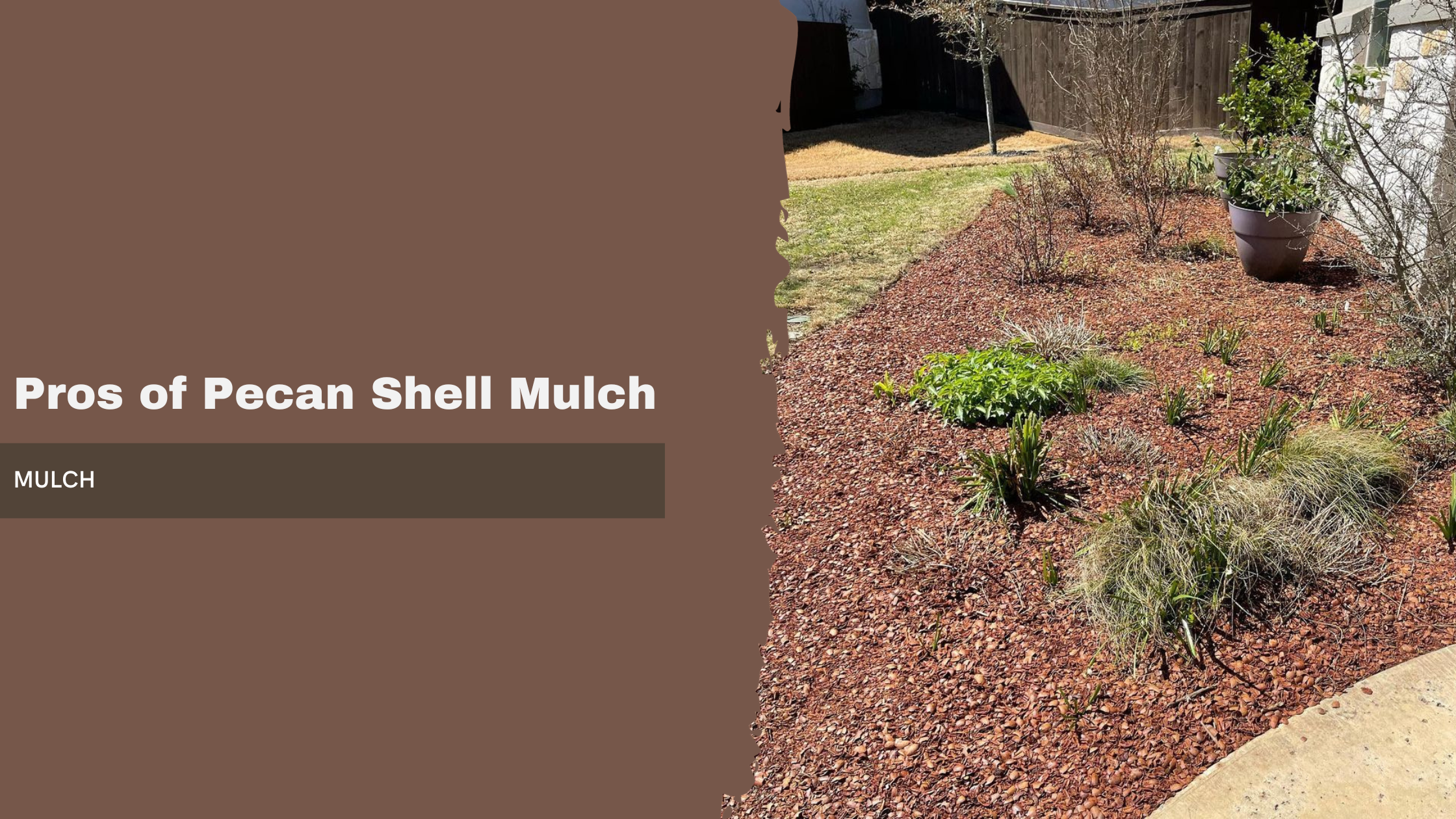 Pros of Pecan Shell Mulch