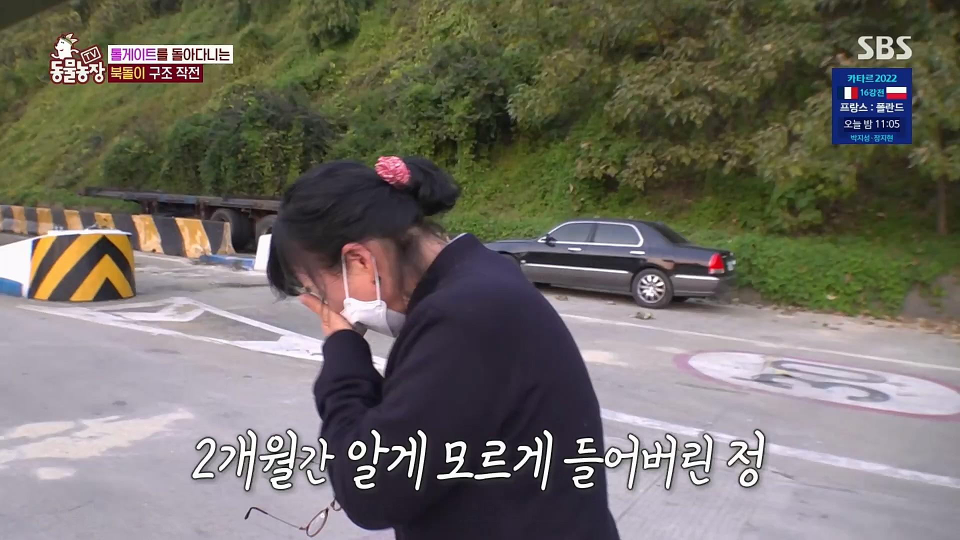 TV 동물농장.E1098.221204p.H264-F1RST.mp4_20221204_175420.647.jpg