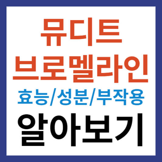 뮤디트 브로멜라인 효능 및 성분과 부작용 알아보기