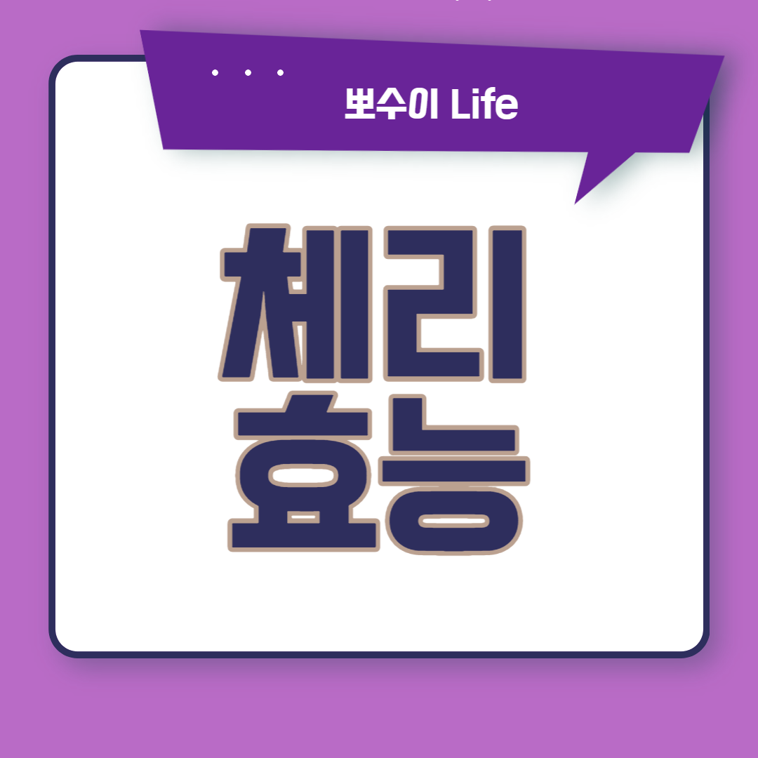 대표