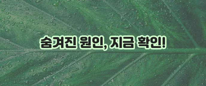 항문 통증 원인과 해결책 확실하게 알아봐야 합니다.
